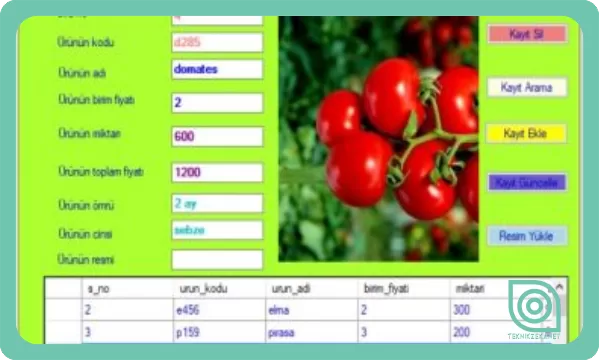 C# Access Veri Tabanı İle Hal Takip Programı