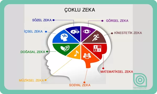 Çoklu Zeka Kuramı ve Çoklu Zeka Türleri